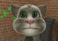 เกมส์เจ้าแมวช่างพูด (Talking Tom Cat)