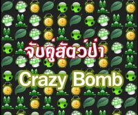 Crazy bomb เกมส์จับคู่สัตว์ป่า